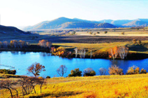 一树繁花/李春雷/