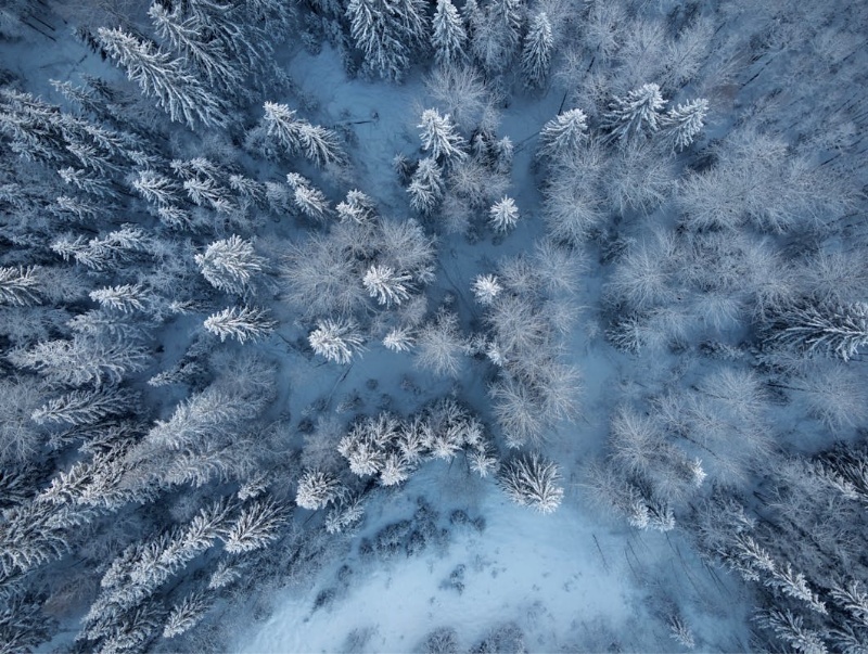 我的“关键之书”（三）