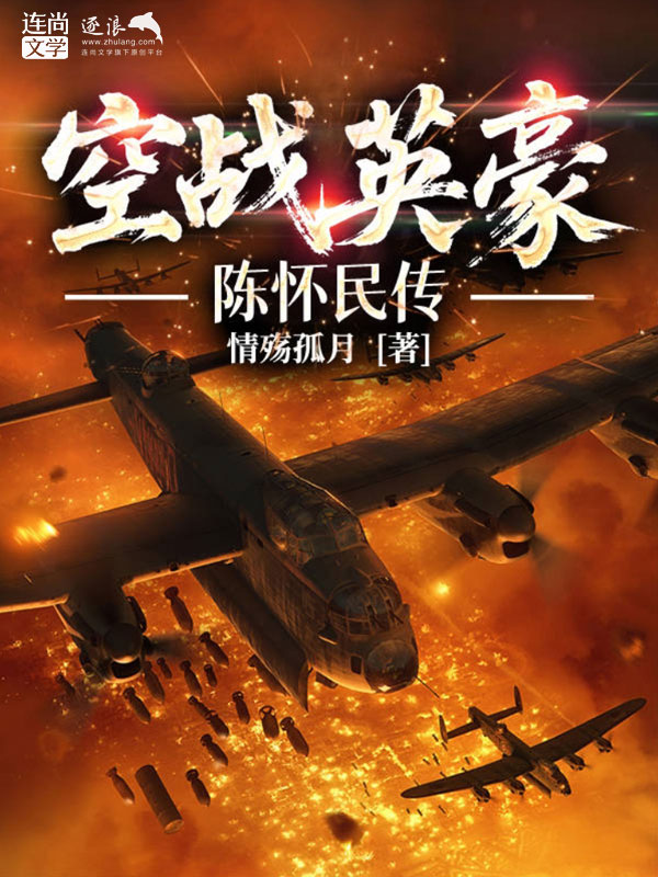空战英豪：陈怀民传