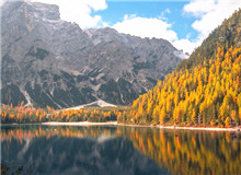 在自然文学和生态文学之间　　在自然文学领域，我耗费了大量时间和心血，但远远谈不上“中国的《瓦尔登湖》”……[详细]