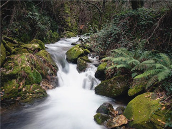 在自然的诗行里,我们都是蹩脚的读者……