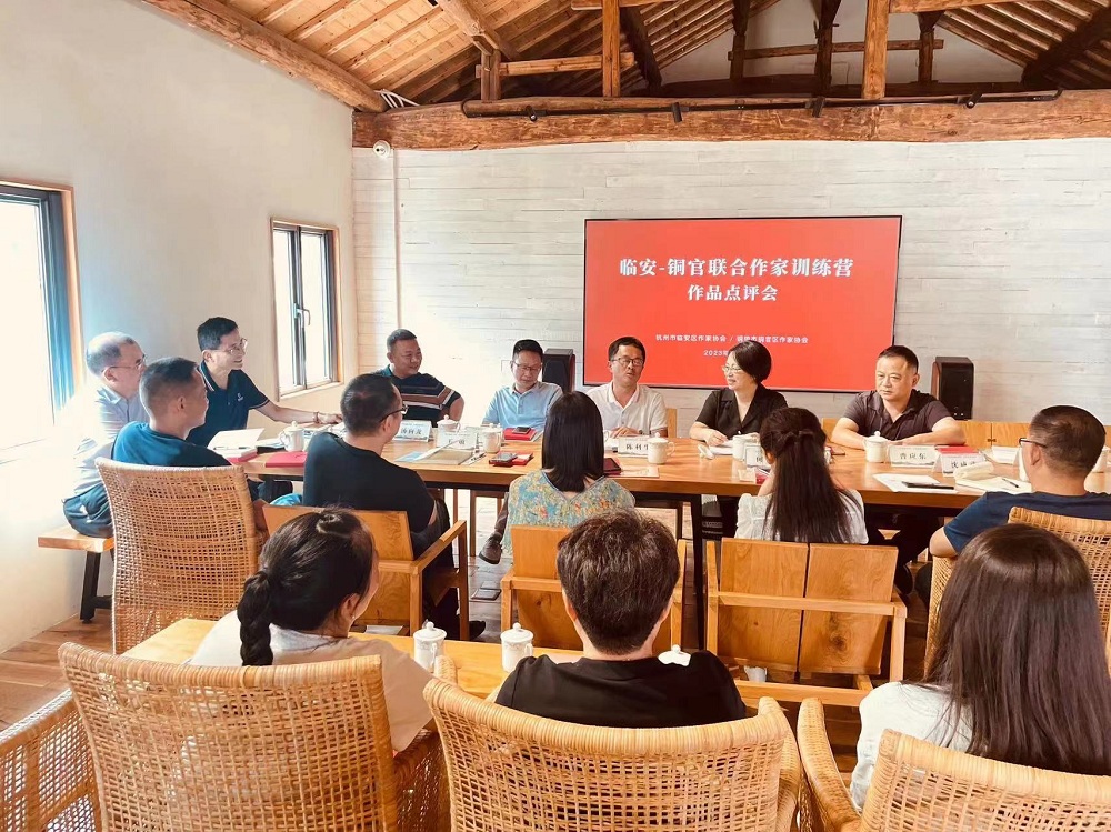 临安实践点与安徽作家开展训练营活动