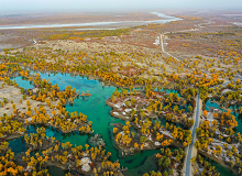 新疆阿克苏2023年9月26日，由中国作家协会、新疆维吾尔自治区党委宣传部主办的中国作家“深入生活、扎根人民”新时代文学实践点授牌暨“情漫丝路·文润天山”主题实践活动在阿克苏举行。[详细]