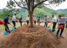 浙江临安2022年6月23日，中国作家“深入生活、扎根人民”新时代文学实践点在杭州临安区授牌。[详细]