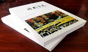 《诗县星光》书籍