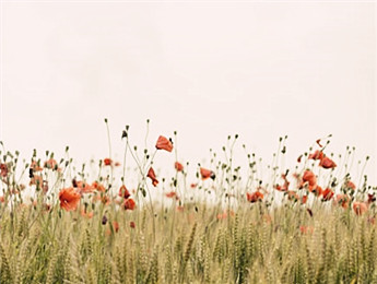 短篇小说：以有限承载无限，折射时代的暗涌与微光