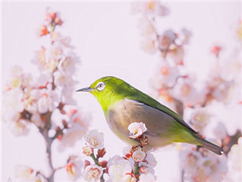 2025年网络文学：诚于时代，诚于文学