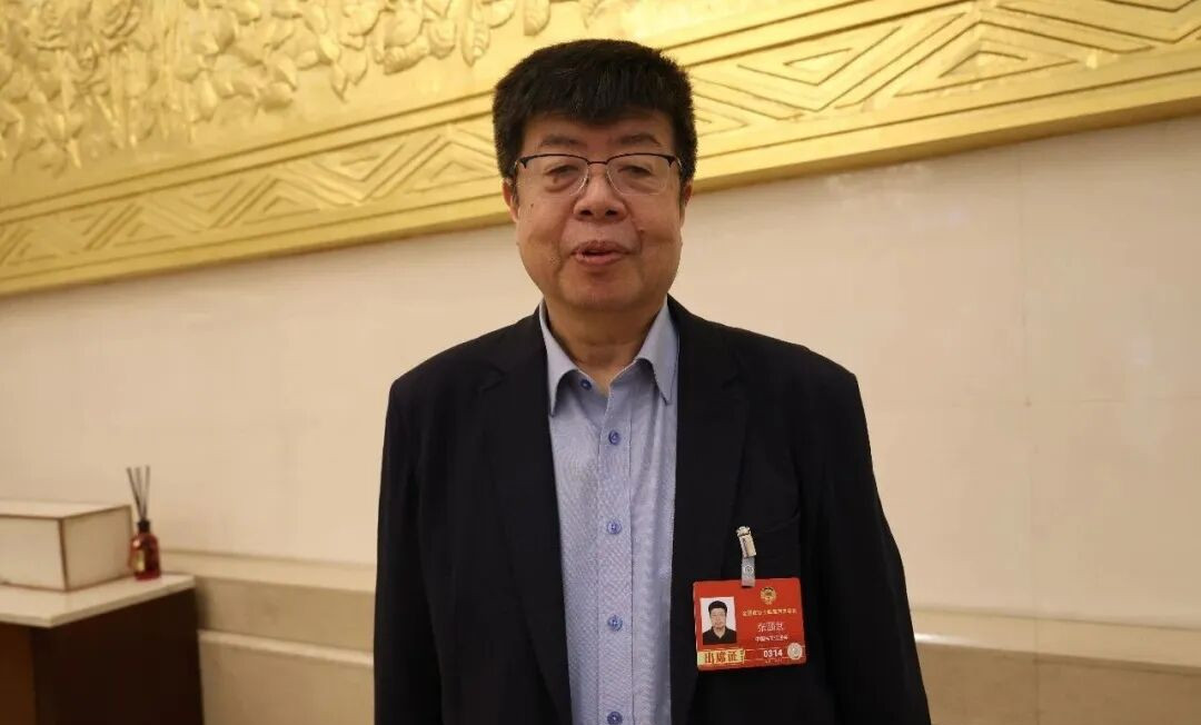 全国政协委员、北京大学中文系教授张颐武