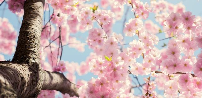 网文独家 | 2025我们的网文故事:永远鲜活,没有天花板